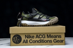Nike ACG Mountain Fly Low GTX SE D09334 300