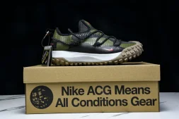 Nike ACG Mountain Fly Low GTX SE D09334 300
