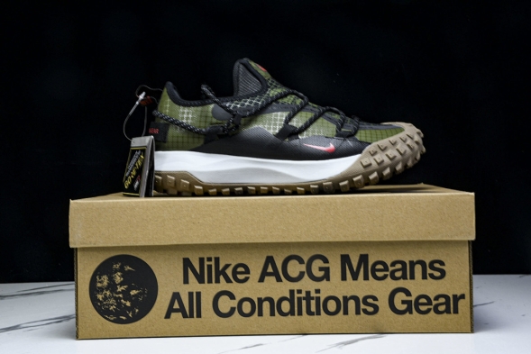 Nike ACG Mountain Fly Low GTX SE D09334 300 