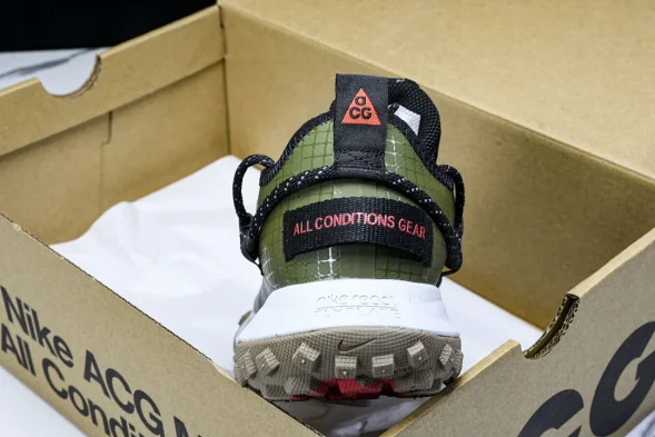 Nike ACG Mountain Fly Low GTX SE D09334 300 
