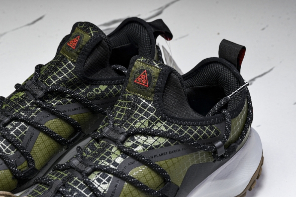 Nike ACG Mountain Fly Low GTX SE D09334 300 