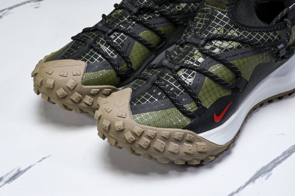 Nike ACG Mountain Fly Low GTX SE D09334 300 