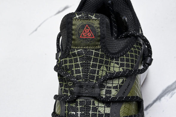 Nike ACG Mountain Fly Low GTX SE D09334 300 