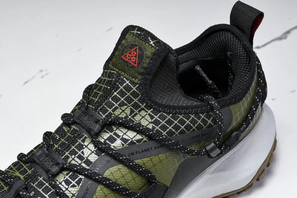 Nike ACG Mountain Fly Low GTX SE D09334 300 