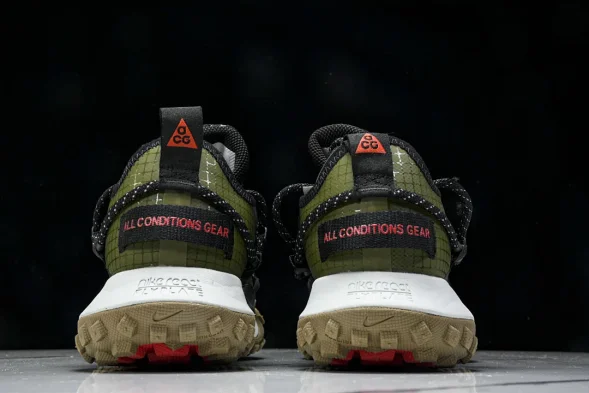 Nike ACG Mountain Fly Low GTX SE D09334 300 