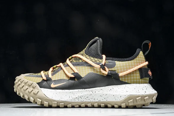 Nike ACG Mountain Fly Low GTX SE DD2861 200 