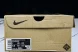 Nike ACG Mountain Fly Low GTX SE DD2861 200 