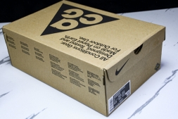 Nike ACG Mountain Fly Low GTX SE DD2861 200