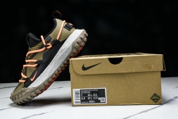 Nike ACG Mountain Fly Low GTX SE DD2861 200