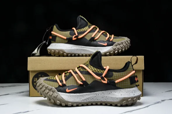 Nike ACG Mountain Fly Low GTX SE DD2861 200 