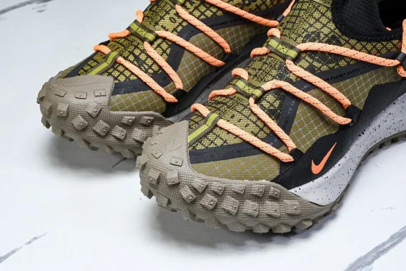 Nike ACG Mountain Fly Low GTX SE DD2861 200 