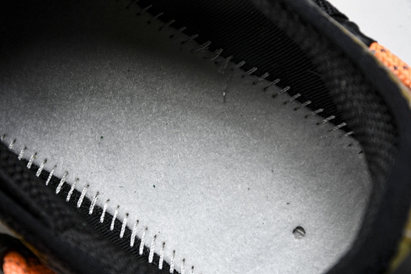 Nike ACG Mountain Fly Low GTX SE DD2861 200 