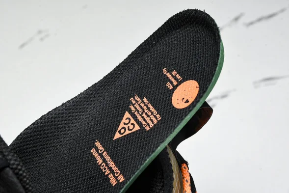 Nike ACG Mountain Fly Low GTX SE DD2861 200 