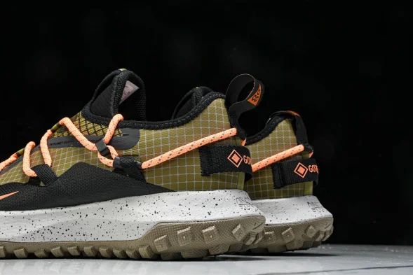 Nike ACG Mountain Fly Low GTX SE DD2861 200 