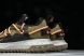 Nike ACG Mountain Fly Low GTX SE DD2861 200 