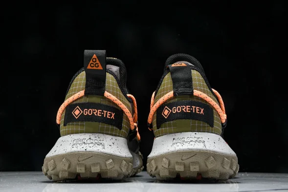 Nike ACG Mountain Fly Low GTX SE DD2861 200 