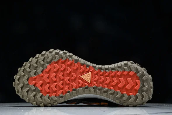 Nike ACG Mountain Fly Low GTX SE DD2861 200 