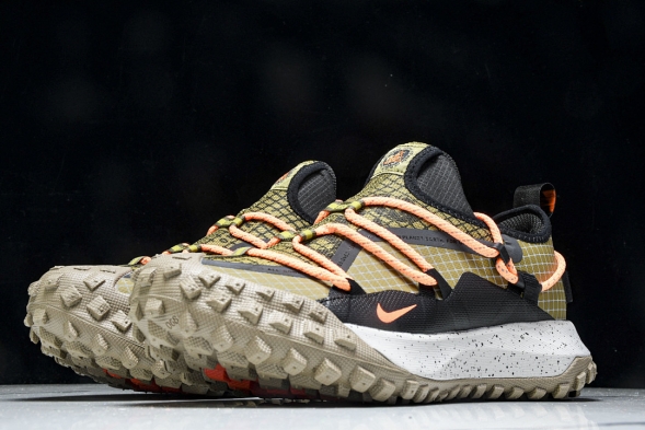 Nike ACG Mountain Fly Low GTX SE DD2861 200 