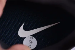 Nike Pegasus Trail 5 DV3864-001