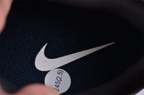 Nike Pegasus Trail 5 DV3864-001 