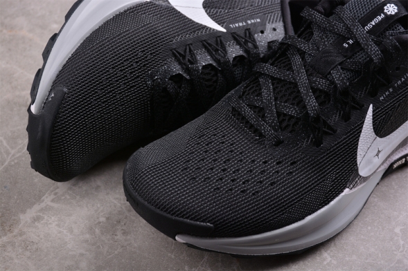 Nike Pegasus Trail 5 DV3864-001 