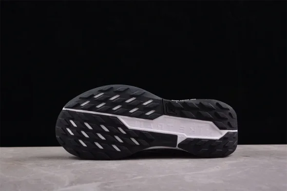 Nike Pegasus Trail 5 DV3864-001 