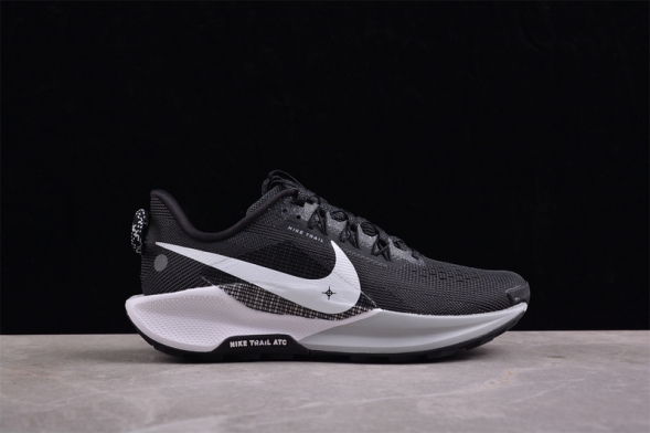 Nike Pegasus Trail 5 DV3864-001 