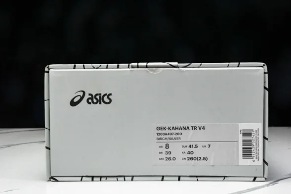 Asics Gel-Kahana TR V4 1203A497-200 