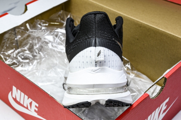 Nike Air Zoom Pegasus Premium HQ2592-008 