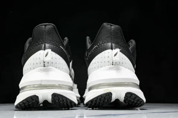 Nike Air Zoom Pegasus Premium HQ2592-008 