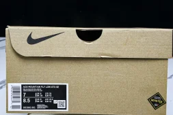 Nike ACG Mountain Fly Low GTX SE DD2861 001
