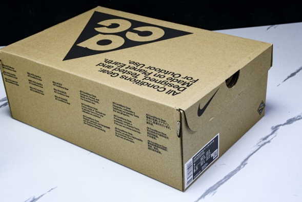 Nike ACG Mountain Fly Low GTX SE DD2861 001 