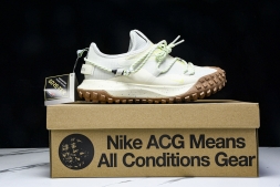 Nike ACG Mountain Fly Low GTX SE DD2861 001