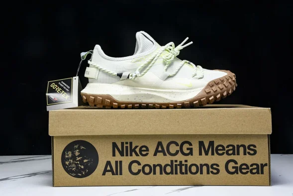 Nike ACG Mountain Fly Low GTX SE DD2861 001 