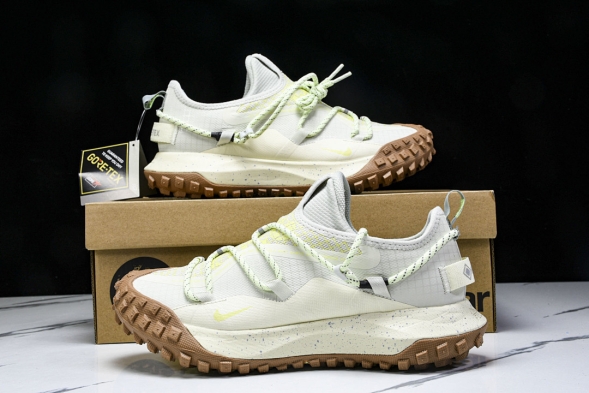 Nike ACG Mountain Fly Low GTX SE DD2861 001 