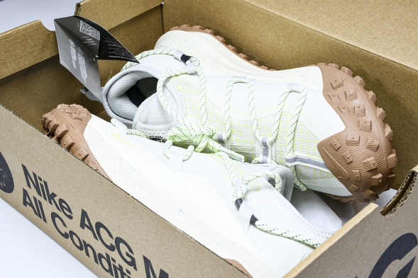 Nike ACG Mountain Fly Low GTX SE DD2861 001 