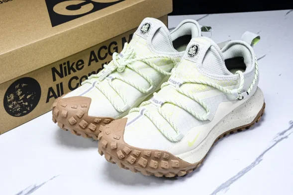 Nike ACG Mountain Fly Low GTX SE DD2861 001 