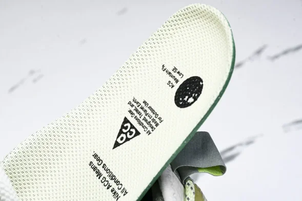 Nike ACG Mountain Fly Low GTX SE DD2861 001 
