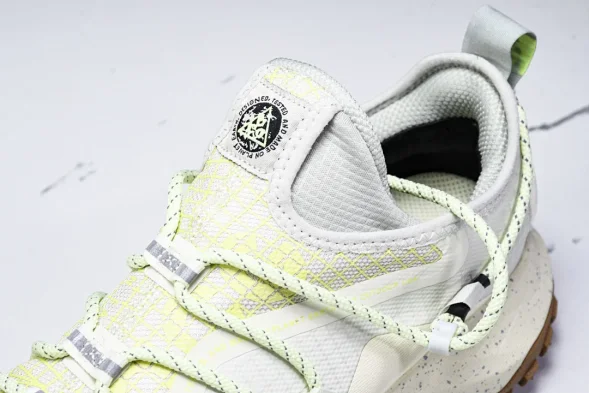 Nike ACG Mountain Fly Low GTX SE DD2861 001 