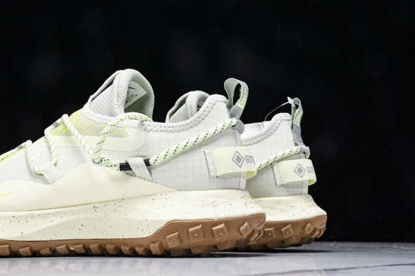 Nike ACG Mountain Fly Low GTX SE DD2861 001 