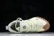 Nike ACG Mountain Fly Low GTX SE DD2861 001 