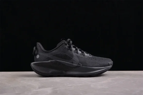Nike Pegasus Trail 5 DV3864-002 