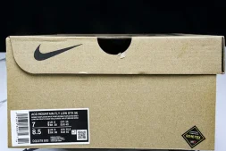 Nike ACG Mountain Fly Low GTX SE DQ1979-500
