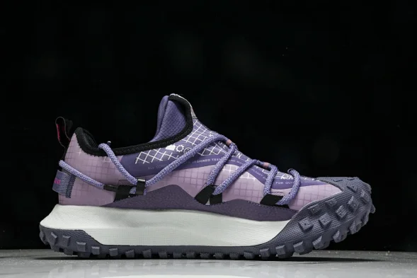 Nike ACG Mountain Fly Low GTX SE DQ1979-500 
