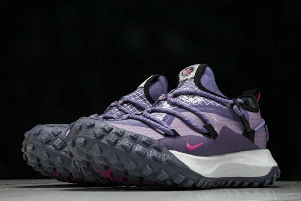 Nike ACG Mountain Fly Low GTX SE DQ1979-500 