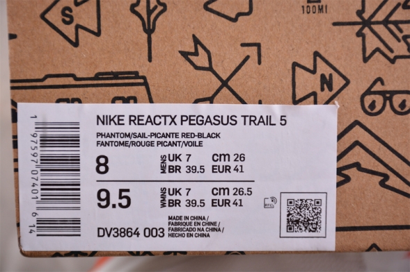 Nike Pegasus Trail 5 DV3864-003 