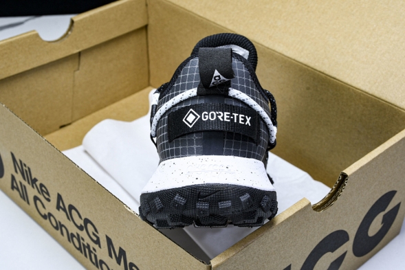 Nike ACG Mountain Fly Low GTX SE DD2861 010 