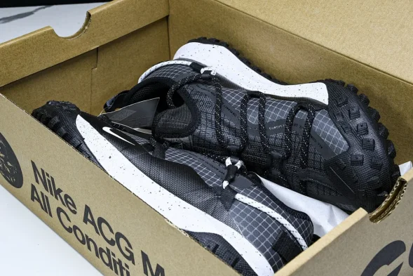 Nike ACG Mountain Fly Low GTX SE DD2861 010 