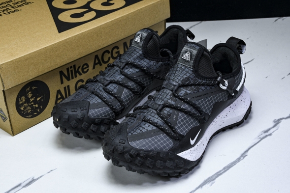 Nike ACG Mountain Fly Low GTX SE DD2861 010 