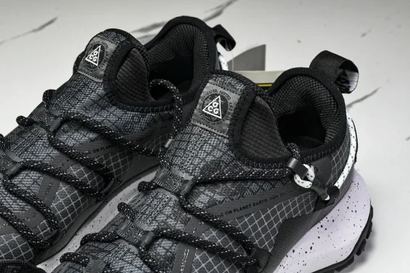 Nike ACG Mountain Fly Low GTX SE DD2861 010 